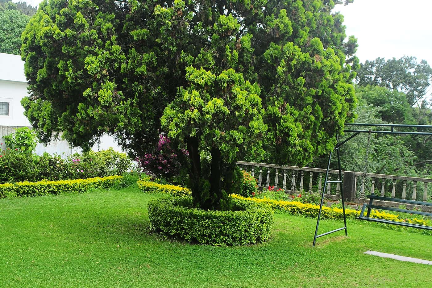 Expansive Events Lawn